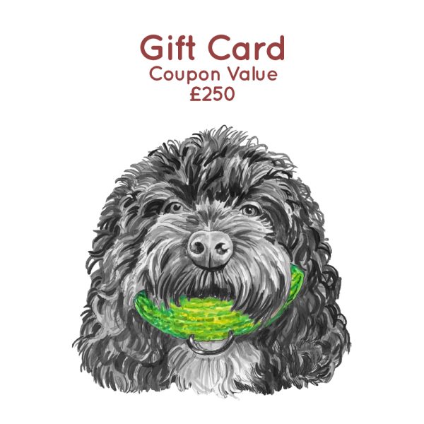 The Dog and Pickle Gift Card £250